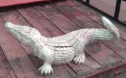 Alligator - Medium