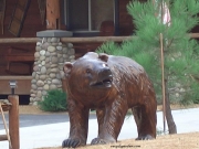 Bear - Lifesize Grizzly