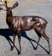 Deer Statue - Doe