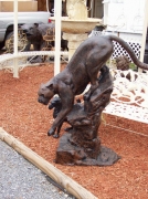 Cougar on Rock