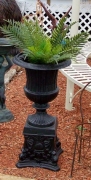 Fluted Urn on Shell Base - (Regular)