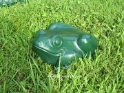 Frog - Sitting