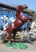 Horse - Mustang Rearing